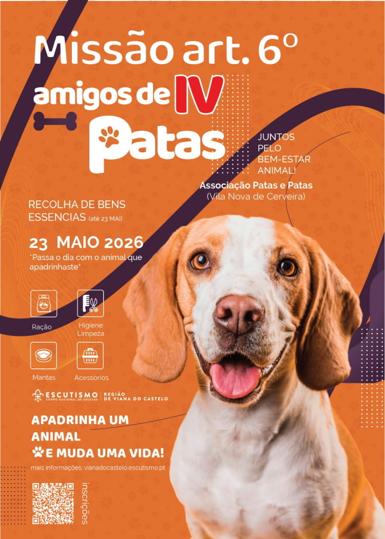Amigos de 4 Patas